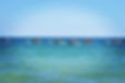 Open Water Racing at the Ocean Challenge