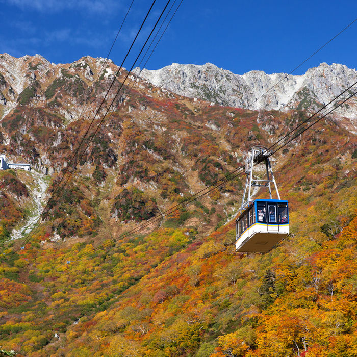Autumn ropeway ride through the Tateyama Kurobe Alpine Route with colorful mountain foliage