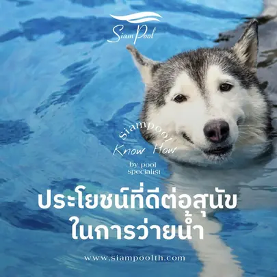 การว่ายน้ำสำหรับสุนัข