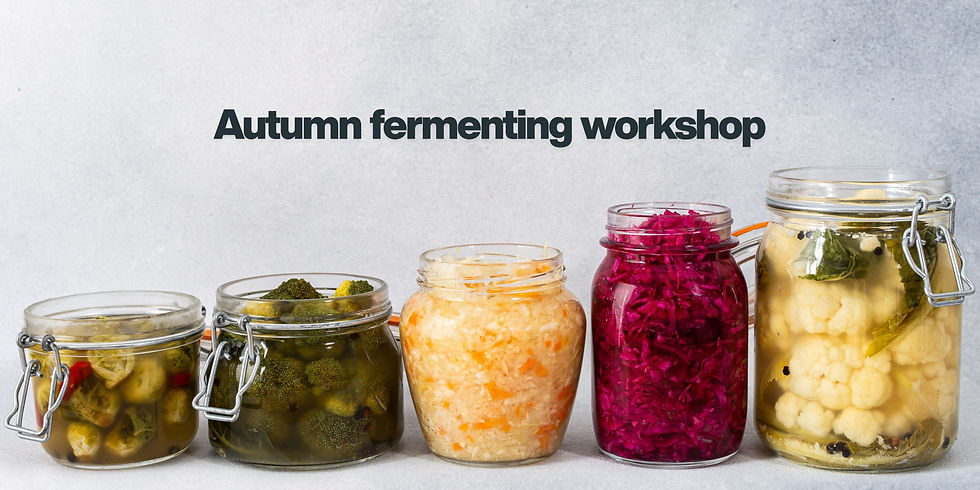 Autumn Fermenting Workshop at Sandridge Barton