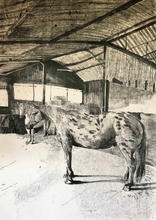 Josephine Birch 90x64cm monotype 2.jpg
