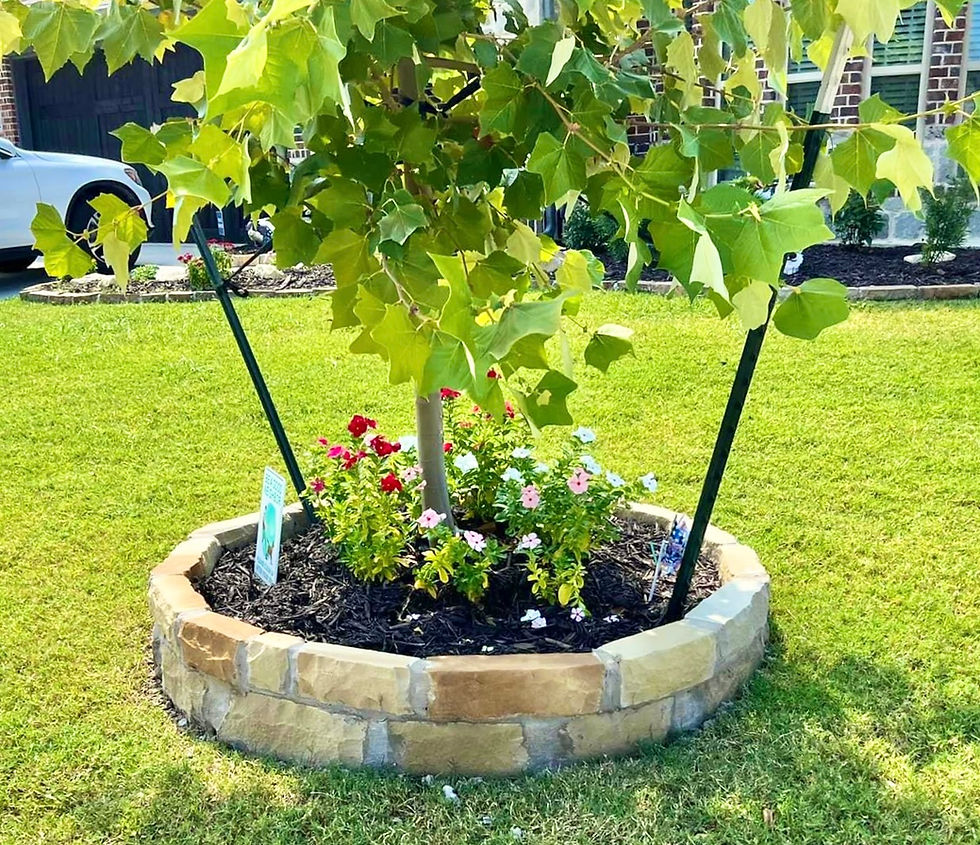 Rock and stone surrounds for flower beds and trees add both beauty and functionality