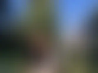 Honoring Latina Voices in Mental Health during Hispanic Heritage Month 