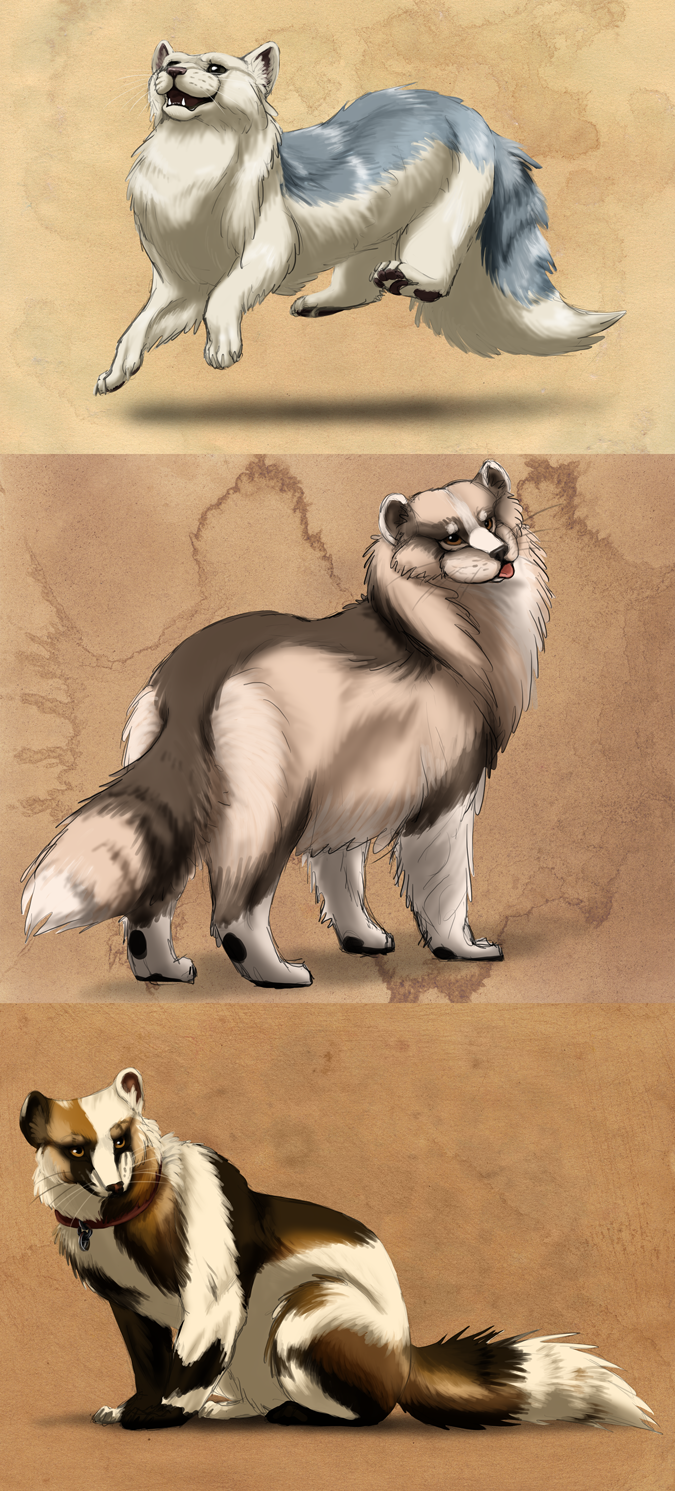 Rodi Breeds