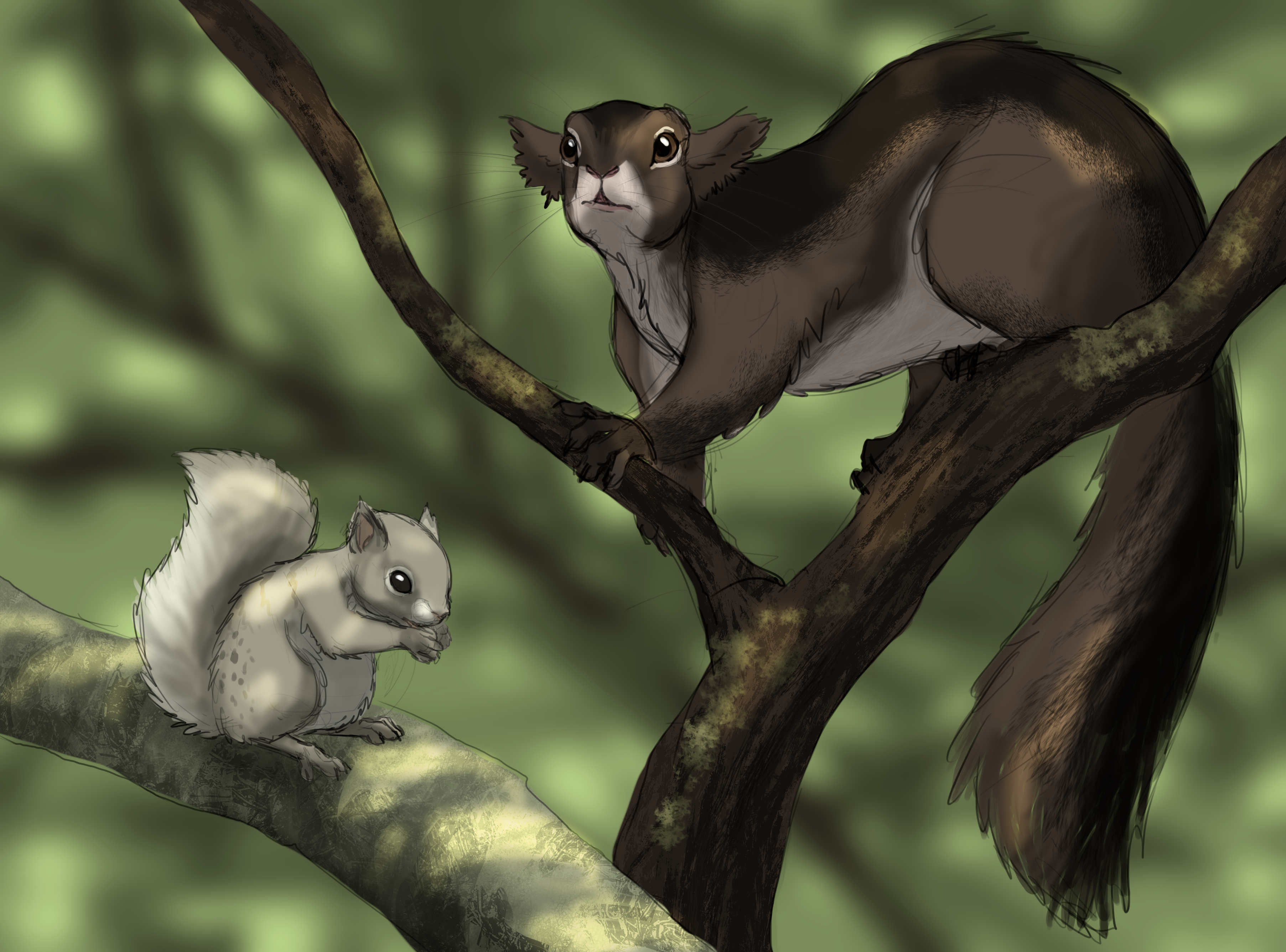 Kellaborn Squirrels