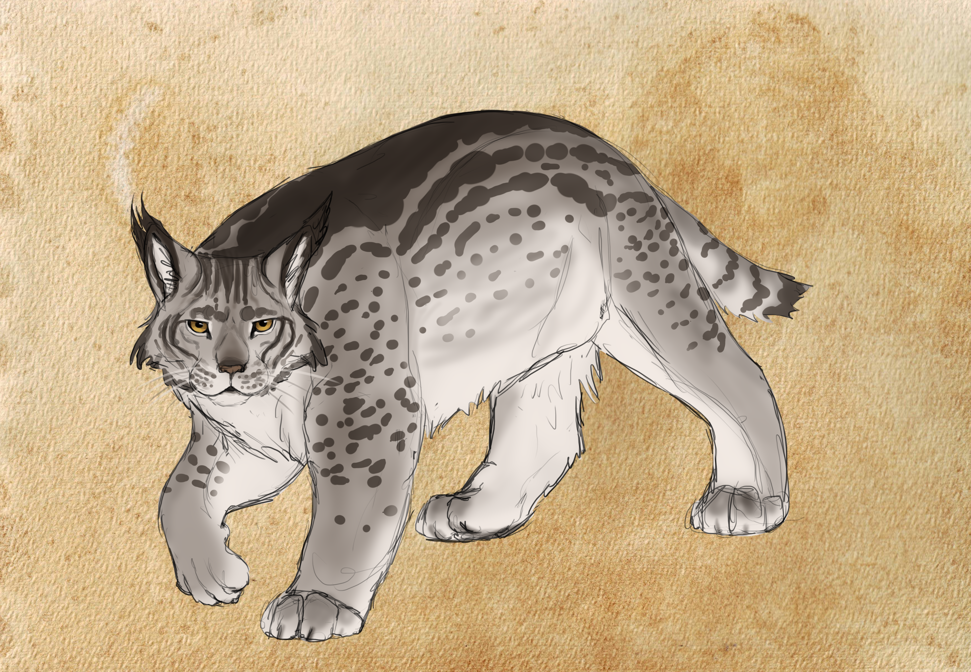 Fen Cat