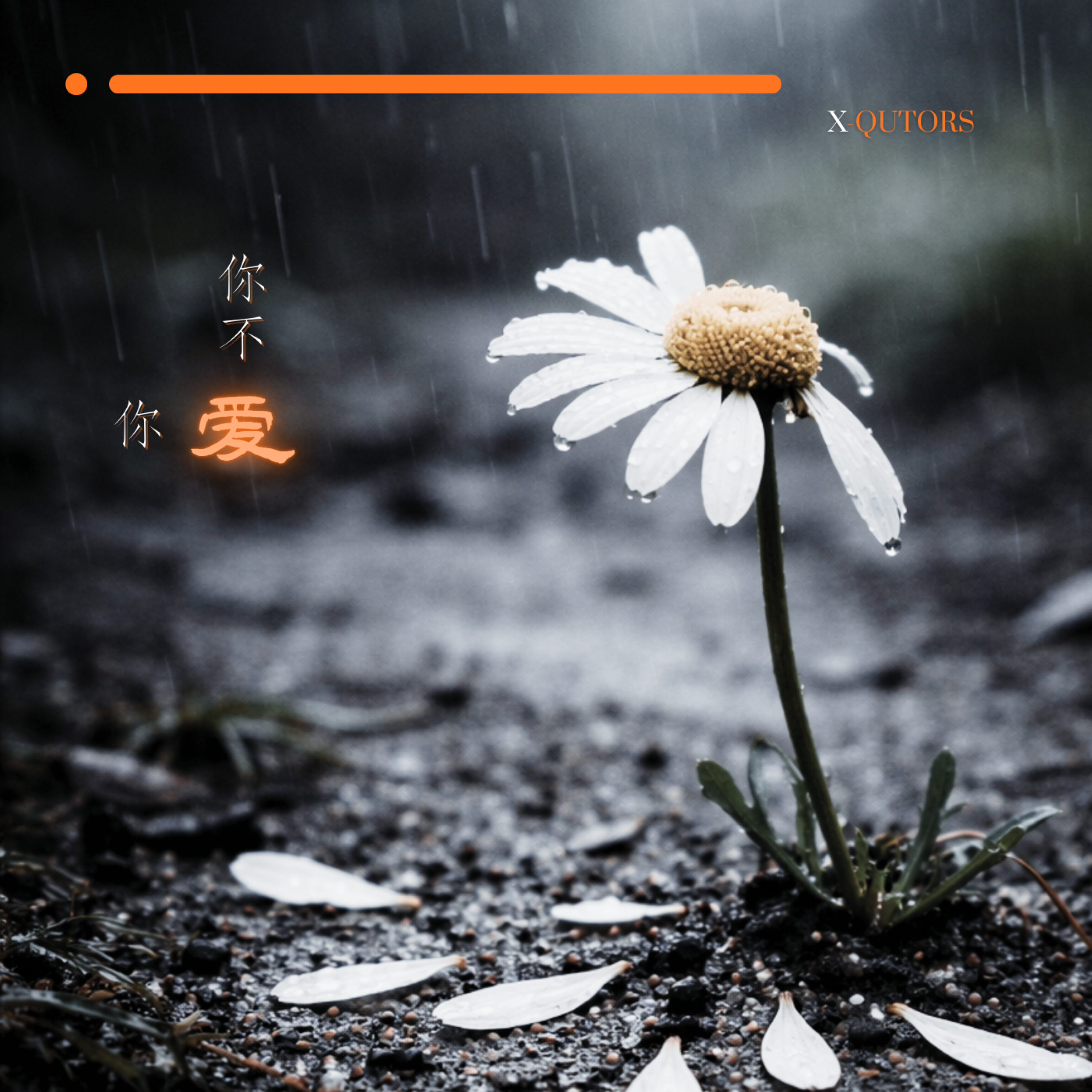 你爱,你不爱