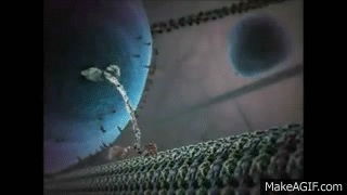 1l_801.gif