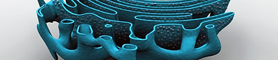 reticulo_endoplasmatico.jpg