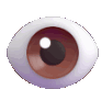 eye.gif