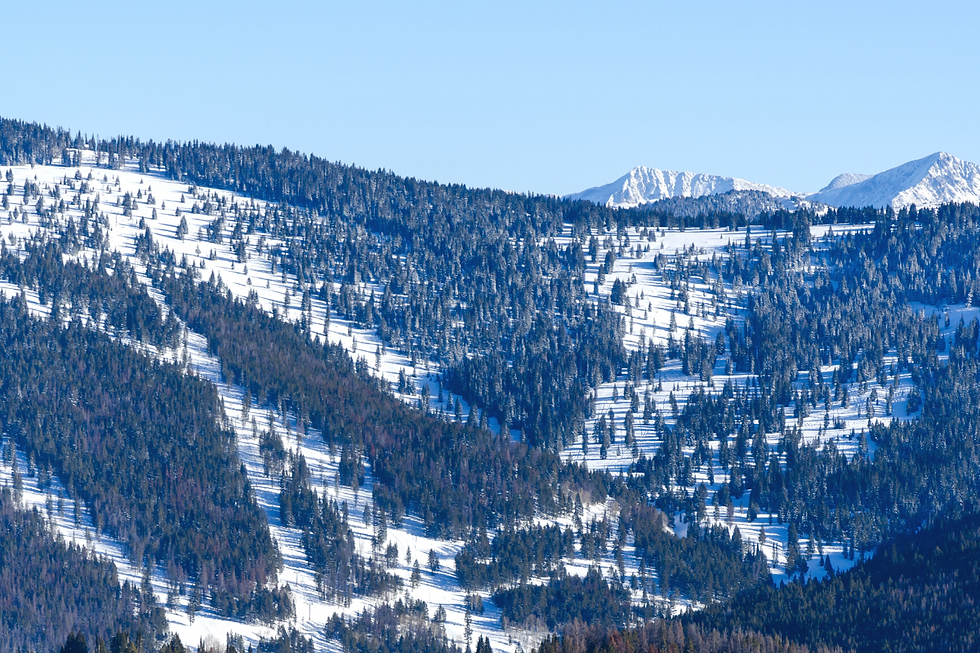 winni wanderer | Vail Ski Resort, CO