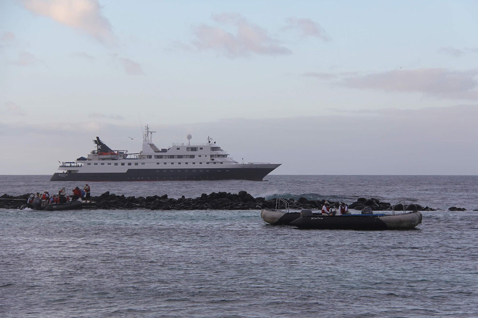 Winni Wanderer | Galapagos: A Once in a Lifetime Trip To The Land That Time Forgot