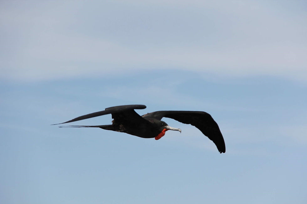 Winni Wanderer | Galapagos: A Once in a Lifetime Trip To The Land That Time Forgot