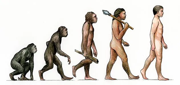 evolution, human, primates, Homo sapiens