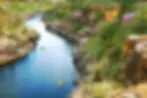 Cânion do Rio Poti.webp