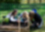 students garden in an allotment