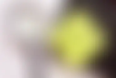 Understanding the Importance of BEE Audits and How to Prepare