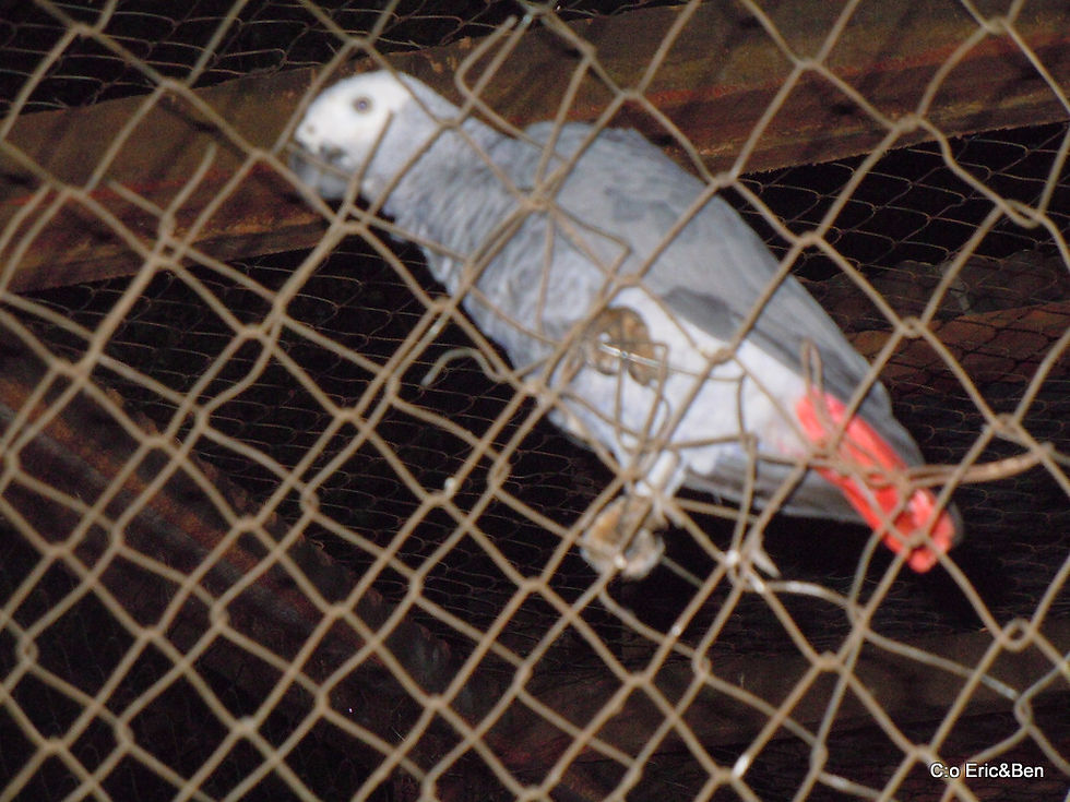 DSCN2238.JPG