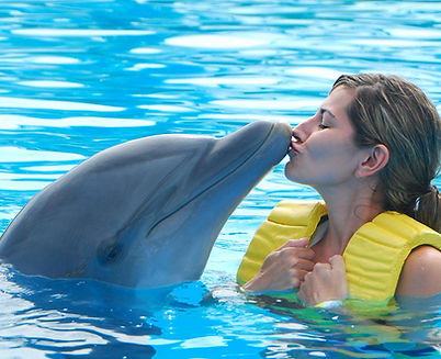 Dolphin Encounter.jpg