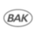 Bak 500x500.png