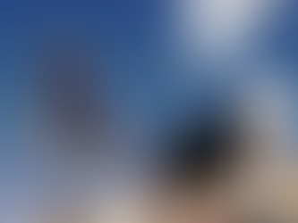 Molicel - ebike battery