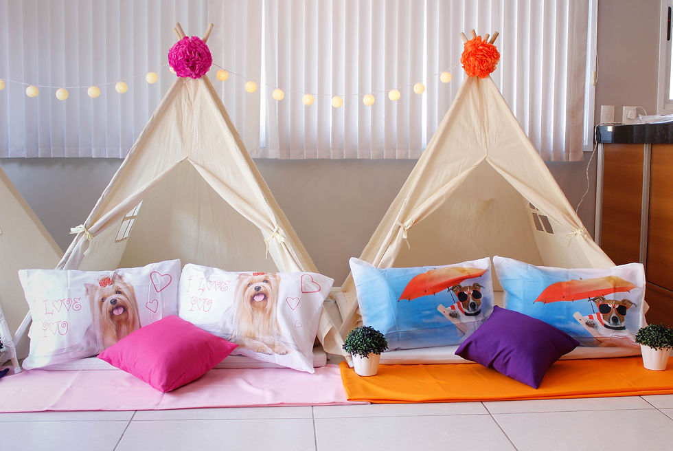 Sonho 2 (5)