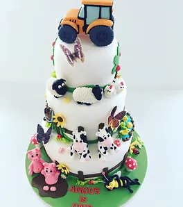 Creative Cakes Deborah Feltham Baby 1st Birthday Cakes Brisbane