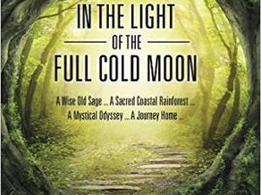 In the light of the full cold moon by Susan Elizabeth Girard