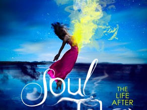 Soul Taken by Katlyn Duncan