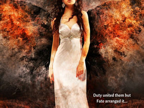 Shadow Wings by Anna Holloway