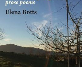 Epochs of Morning light by Elena Botts