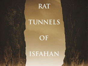 The Rat Tunnels of Isfahan by Alejandro Gutierrez