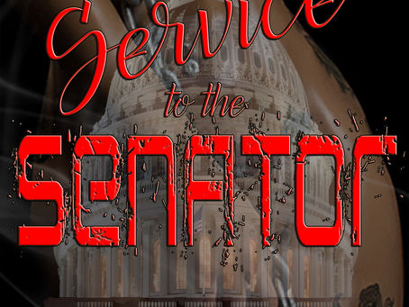 In Service to the Senator by Shakir Rashaan