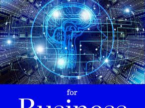 Reprogram Your Subconscious Mind for Business Success by Steve Remmert and Odille Remmert