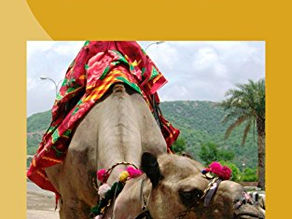 Kids, Camels, & Cairo by Jill Dobbe
