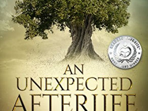 An Unexpected Afterlife by Dan Sofer