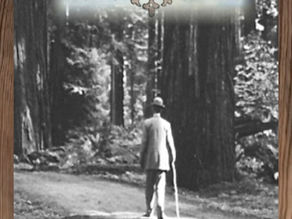 The Grey Forest by Maureen Griswold