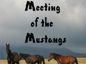 Meeting of the Mustangs by Cathy Kennedy
