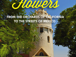 Avocado Flowers: From the Orchards of California to the Streets of Mexico by Julie Bawden-Davis