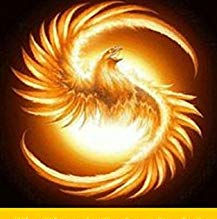 Flashback Review: A New Dawn by Ted Tayler