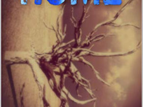Home: A Dystopian Journey by David Duane Kummer