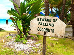 Kennedy's Coconut Stories from the Edge by Will Mayo