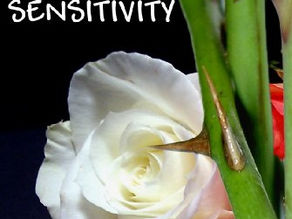 Flashback Review: Misguided Sensitivity by Philip Nork