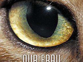 Our Frail Disordered Lives by Mary M Schmidt