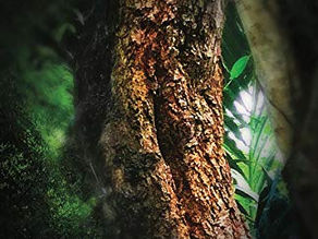 Love is the Cure God is the Cure by Aimee Cabo Nikolov