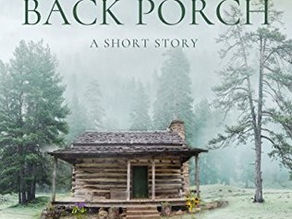 The Baby on the Back Porch: A Short Story by Lucia Davis