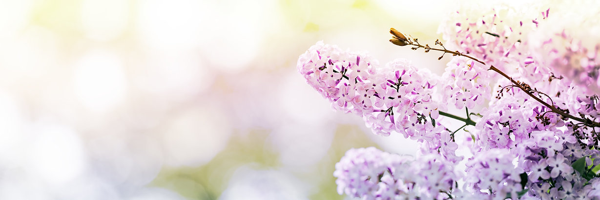 AdobeStock_250276776.jpeg