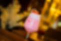 DSC01650.jpg