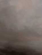 Invented Fog Looking Upwards