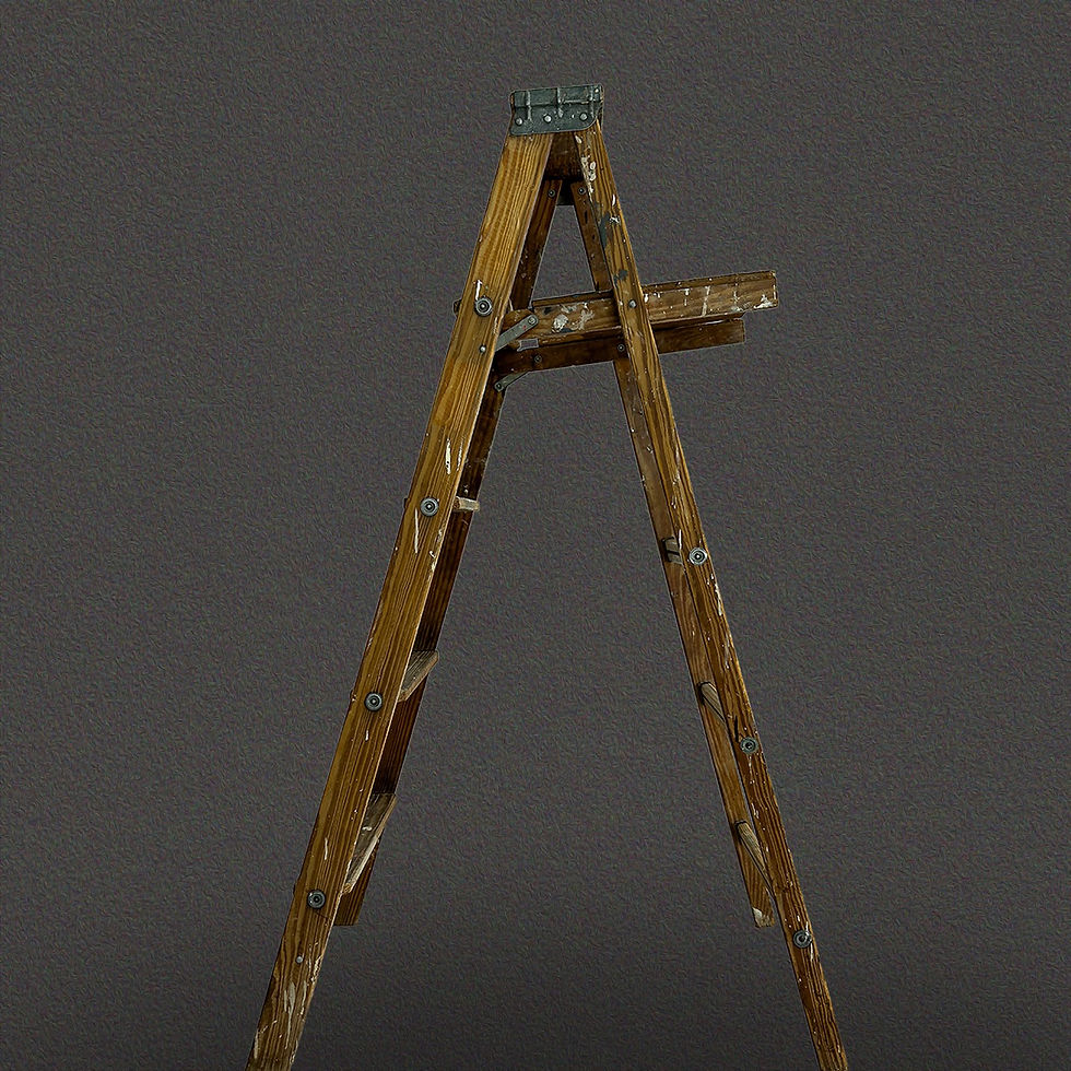 260305_IP093_DavidJ_image_ladder_01 Large.jpeg